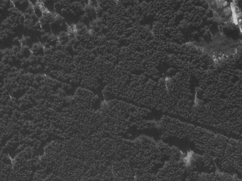 20 Styx River Place from the air, 1960-1964