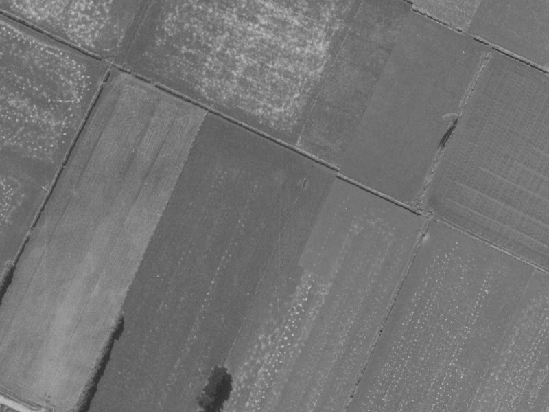 12 Treedale Street from the air, 1960-1964
