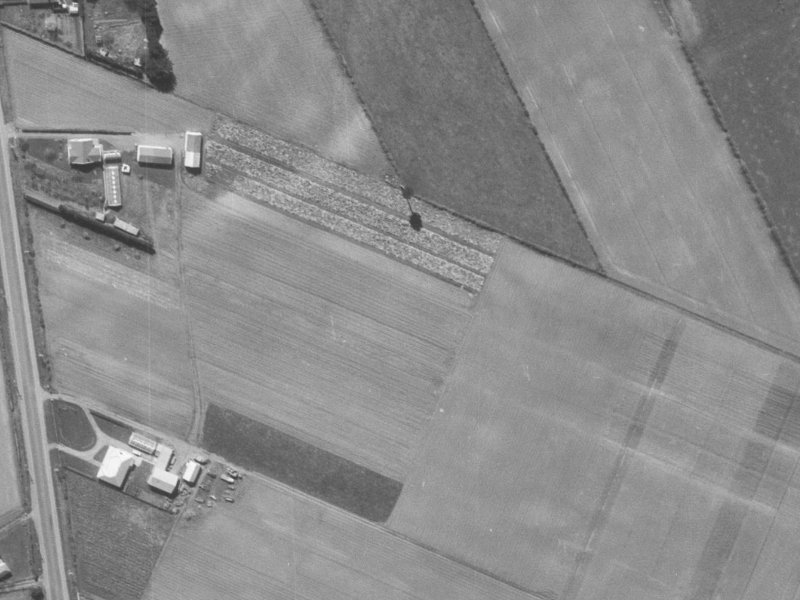 640 Marshland Road from the air, 1960-1964