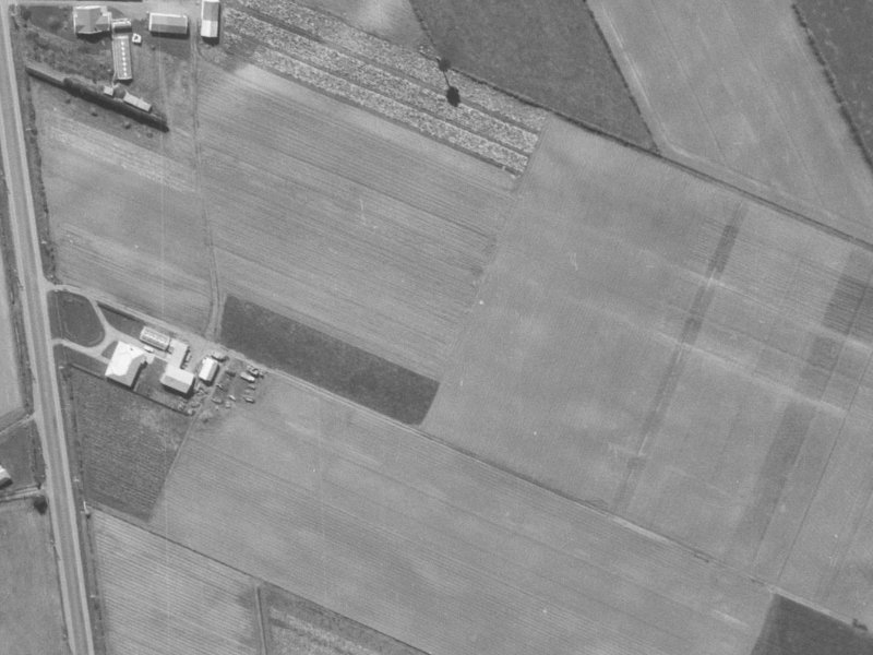646 Marshland Road from the air, 1960-1964