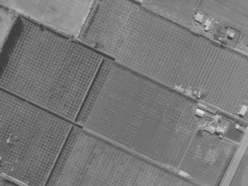 22 Mounter Avenue from the air, 1960-1964