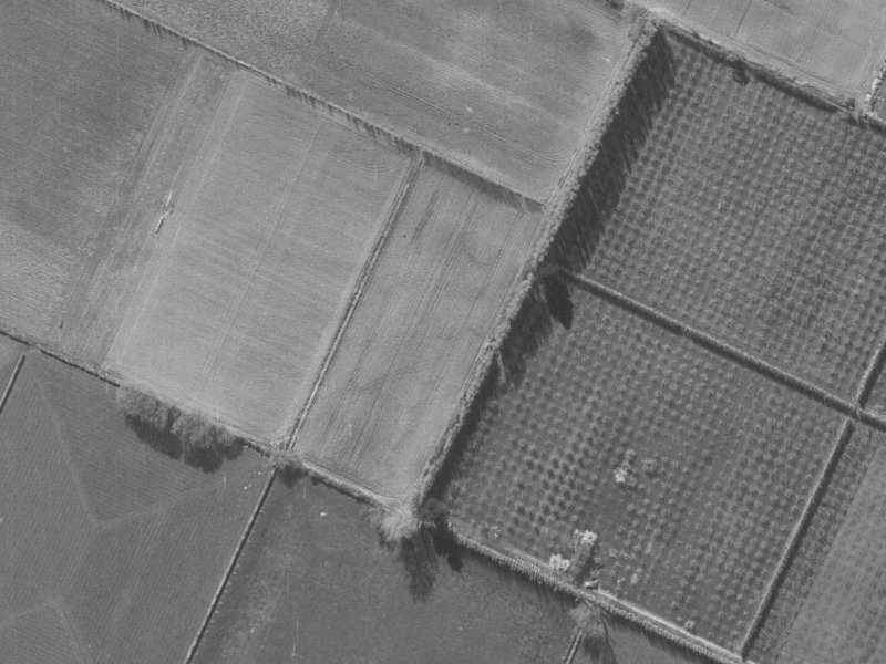 43 Mounter Avenue from the air, 1960-1964