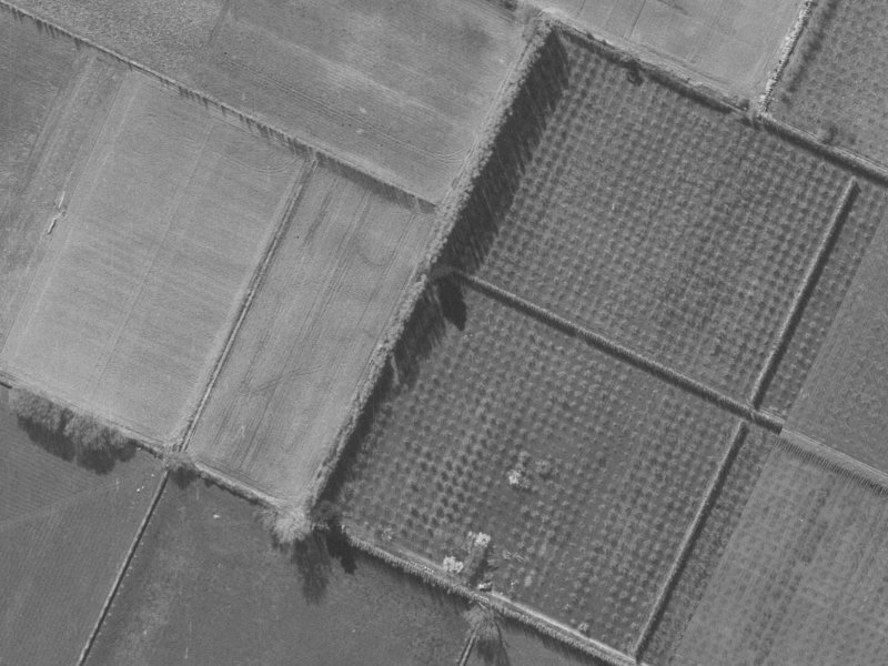 8 Ross Place from the air, 1960-1964