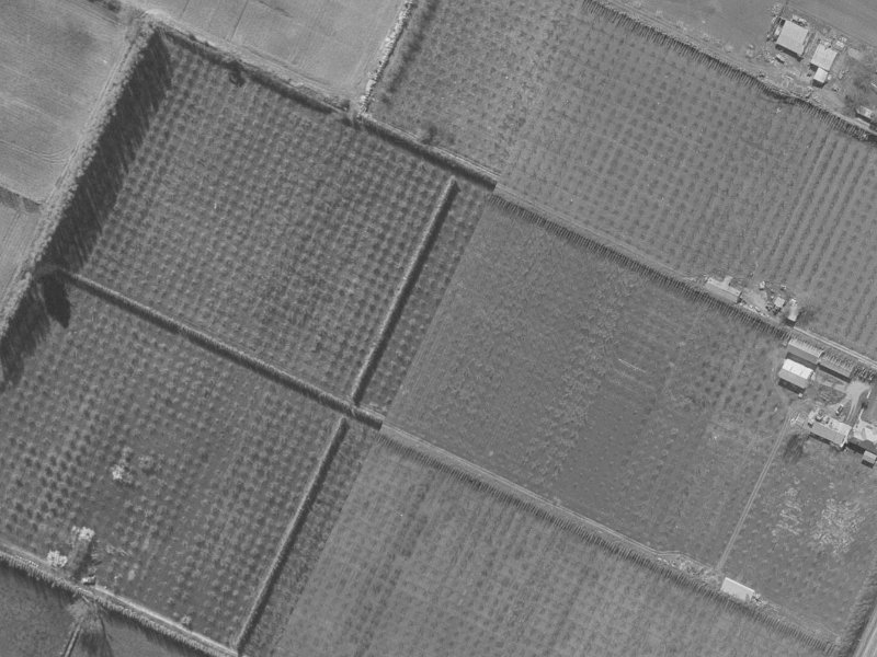Mounter Avenue from the air, 1960-1964
