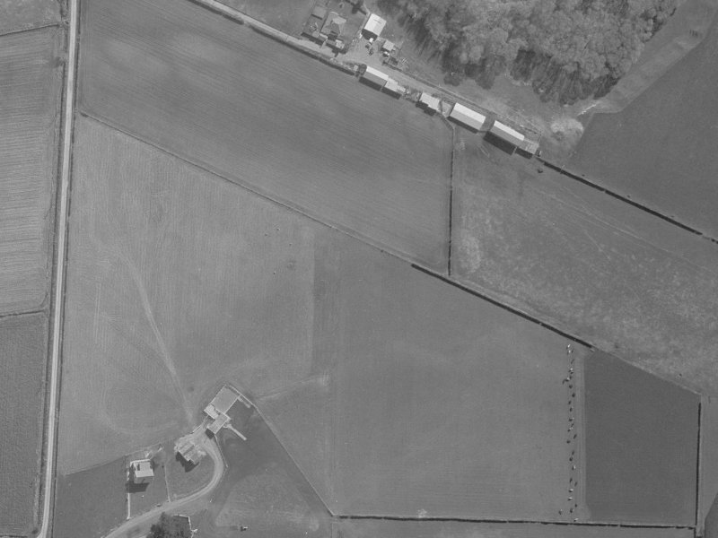 15 Harrys Way from the air, 1960-1964