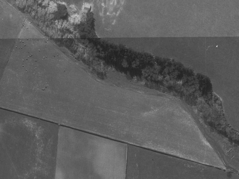 28 Selkirk Place from the air, 1960-1964