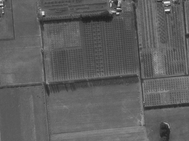 43 Collies Road from the air, 1960-1964