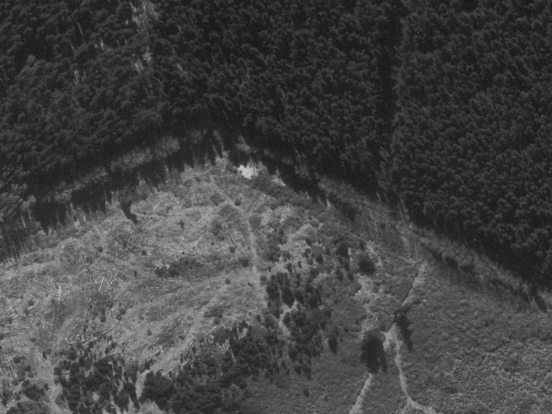 17 Willoughby Lane from the air, 1960-1964