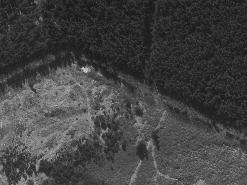 11 Willoughby Lane from the air, 1960-1964