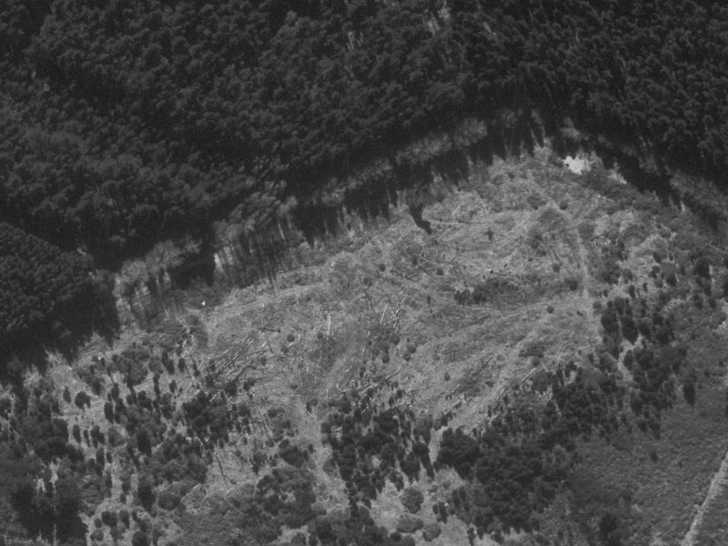 272 Queenspark Drive from the air, 1960-1964