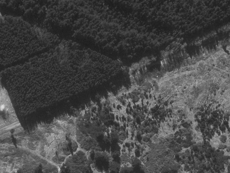 126 Rothesay Road from the air, 1960-1964