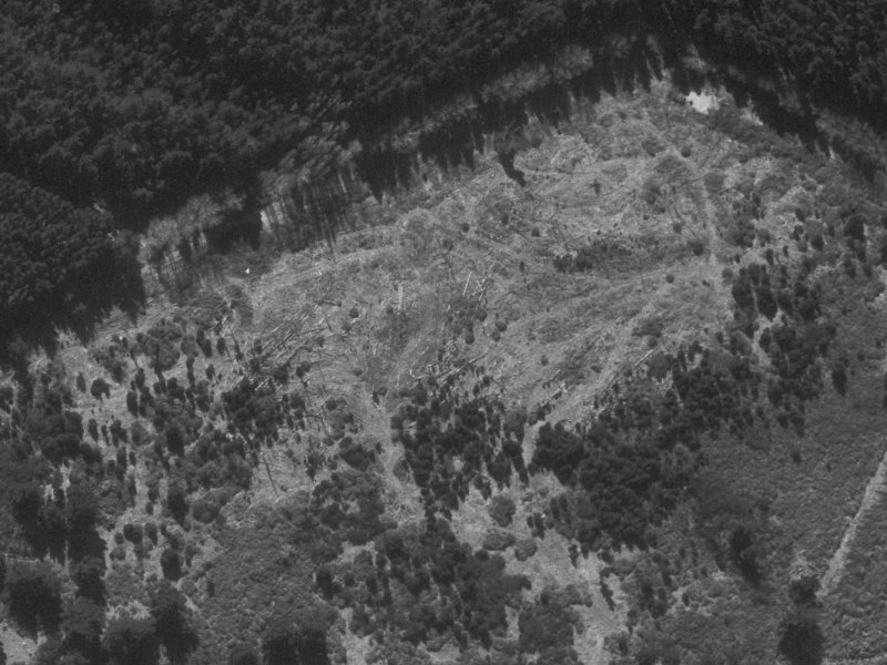 266 Queenspark Drive from the air, 1960-1964