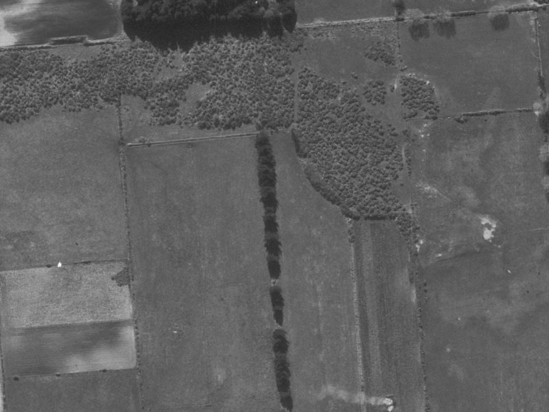 3 Korowai Street from the air, 1960-1964