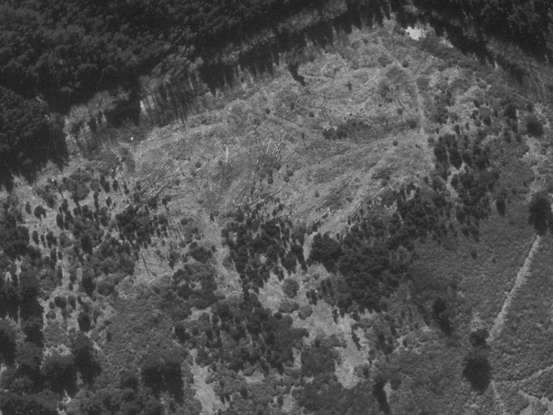 73–77 Anglesea Avenue from the air, 1960-1964