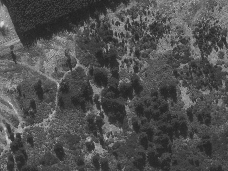 6 Forest Park Place from the air, 1960-1964
