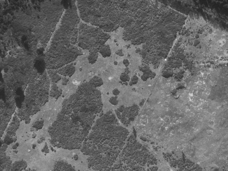 Anglesea Avenue from the air, 1960-1964