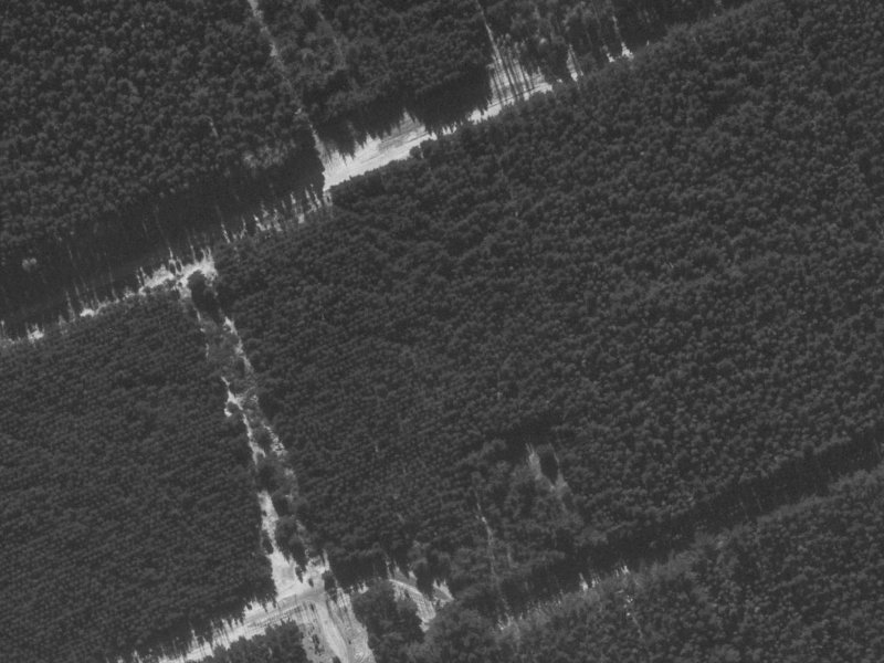 24 Ruahine Place from the air, 1960-1964
