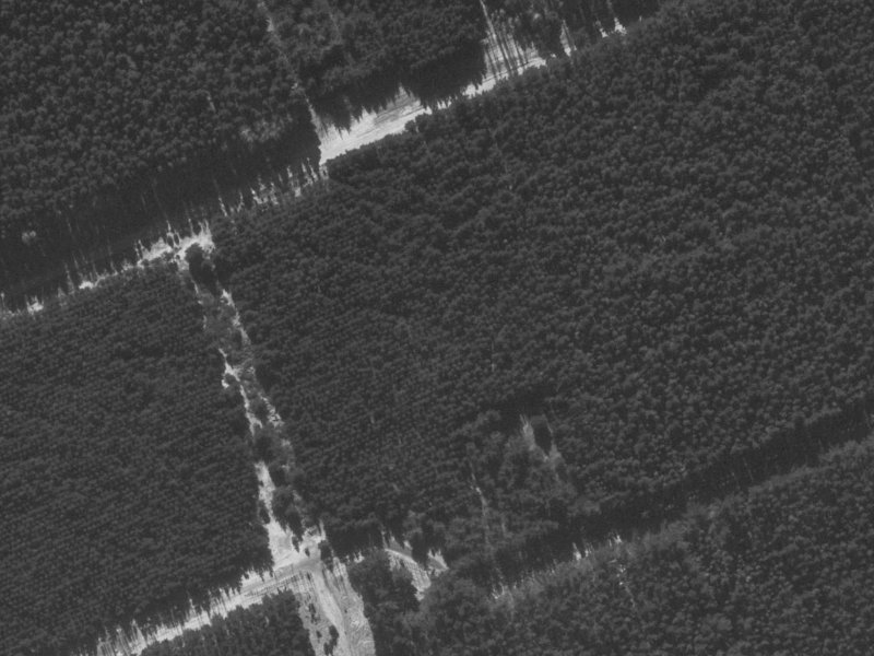 66 Rothesay Road from the air, 1960-1964