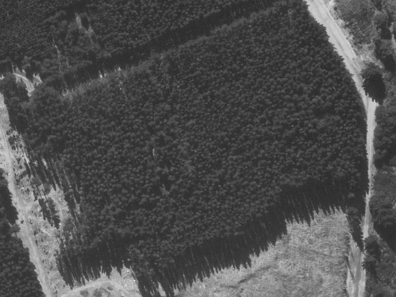 38 Titirangi Crescent from the air, 1960-1964
