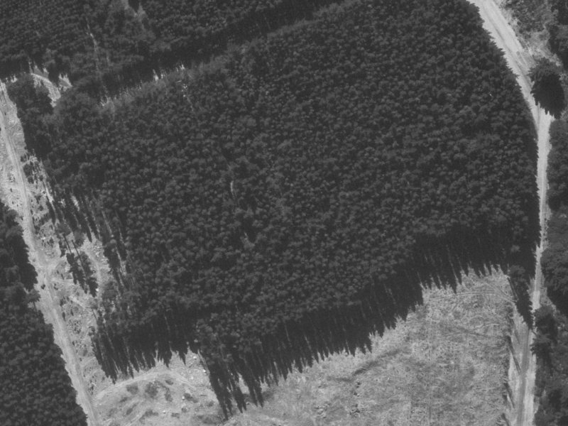 Titirangi Crescent from the air, 1960-1964