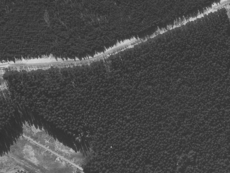 25 Papaumu Green from the air, 1960-1964
