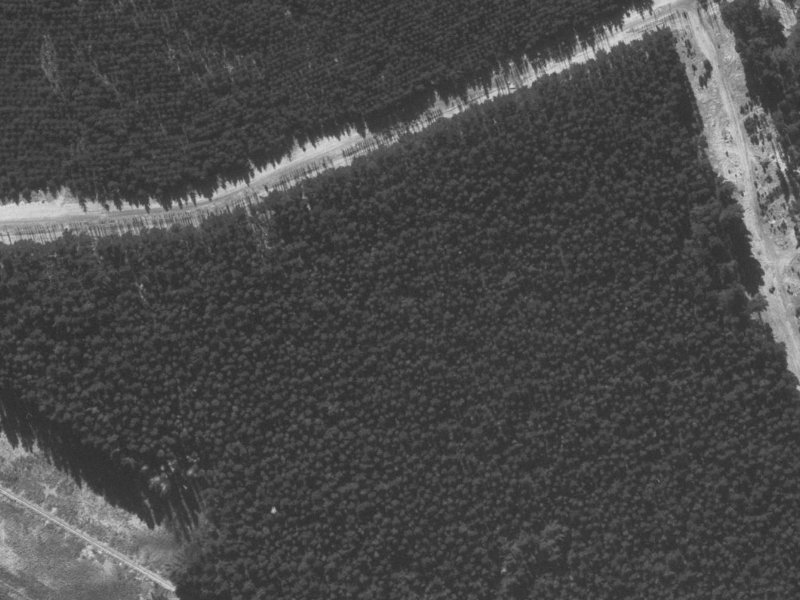 21E Papaumu Green from the air, 1960-1964