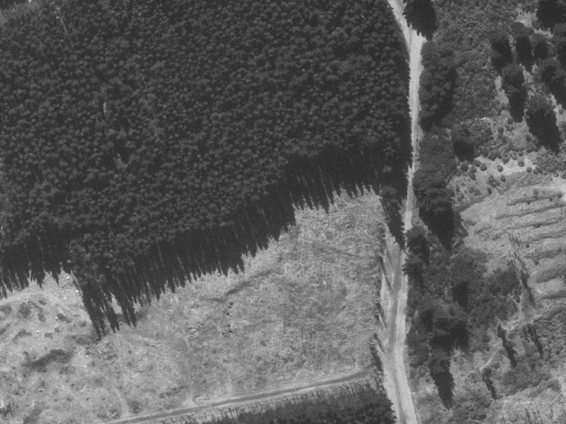 33 Mahuri Street from the air, 1960-1964