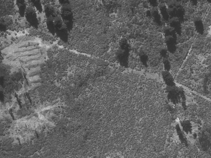 16 Four Elms Place from the air, 1960-1964