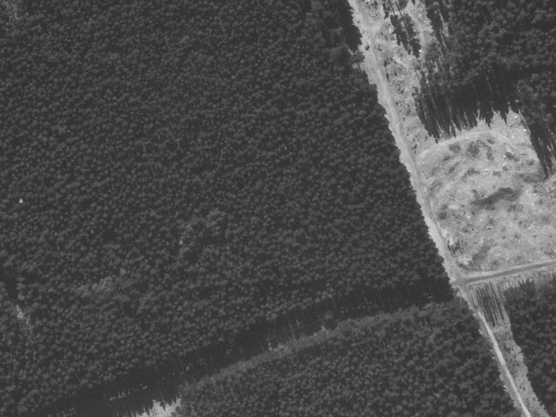 16 Pohutukawa Crescent from the air, 1960-1964