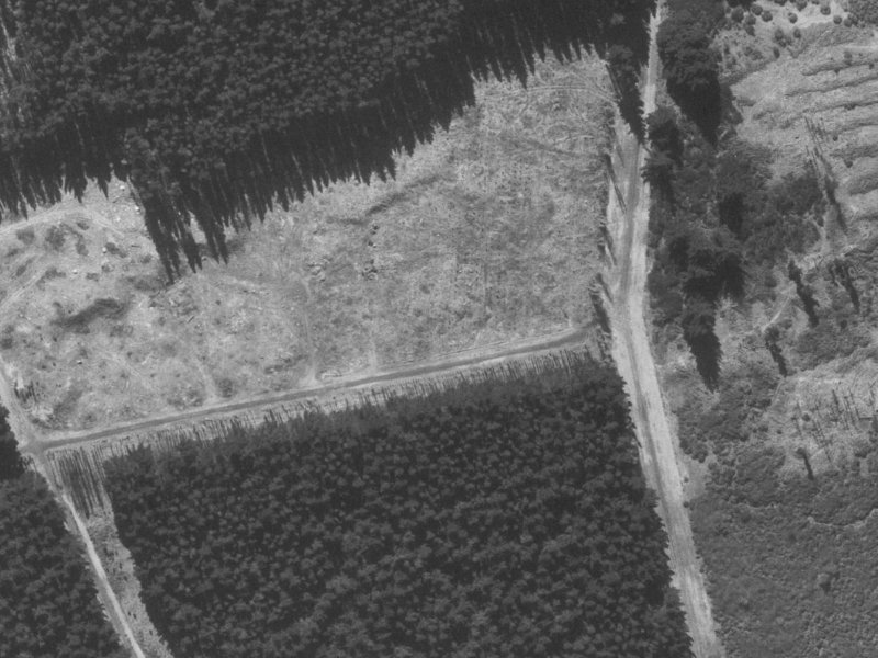 Mahuri Street from the air, 1960-1964