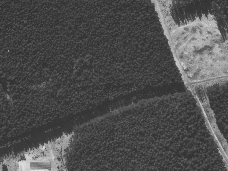 27 Pohutukawa Crescent from the air, 1960-1964