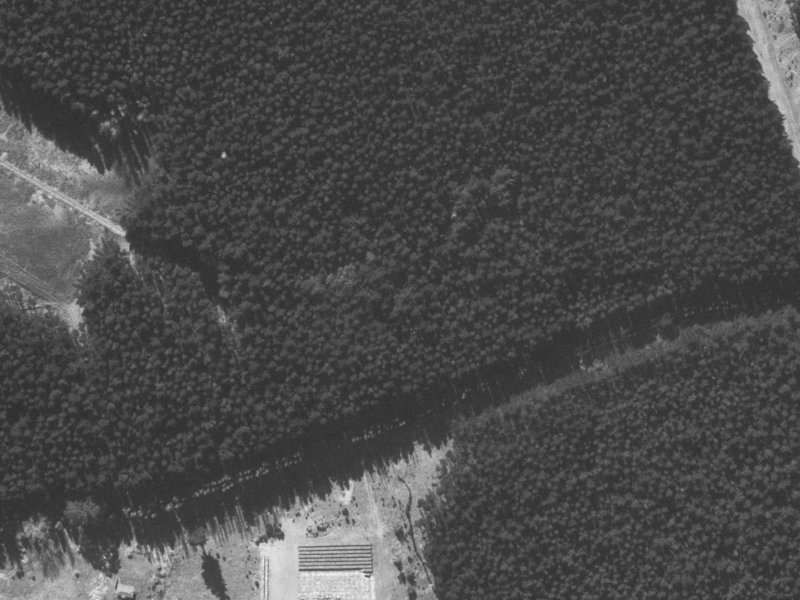 30 Pohutukawa Crescent from the air, 1960-1964
