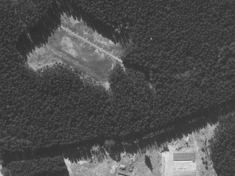 55 Pohutukawa Crescent from the air, 1960-1964