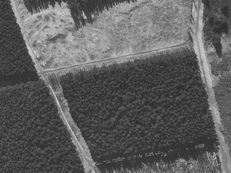 19 Putake Drive from the air, 1960-1964