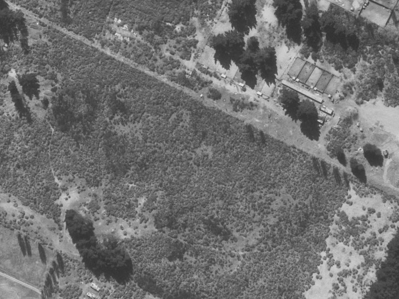 Heathglen Avenue from the air, 1960-1964