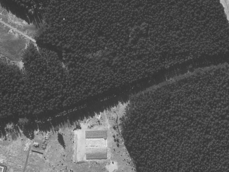 37 Pohutukawa Crescent from the air, 1960-1964