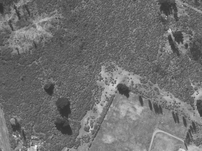 7 Brentwood Street from the air, 1960-1964