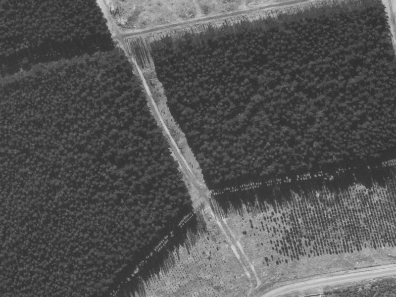 Amoka Crescent from the air, 1960-1964