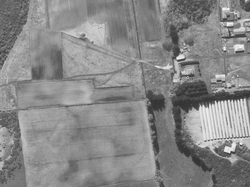 26 Cameo Grove from the air, 1960-1964