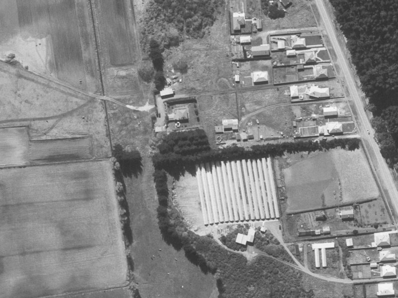 Cameo Grove from the air, 1960-1964