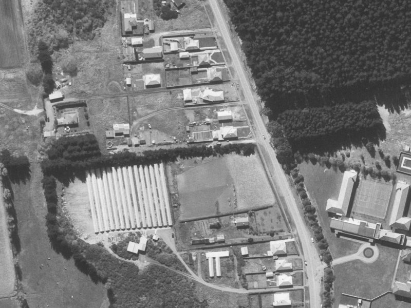 3 Cameo Grove from the air, 1960-1964