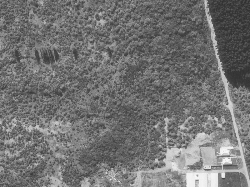 12 Foresters Crescent from the air, 1960-1964