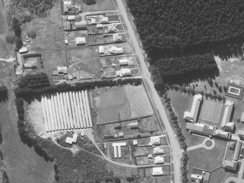 1 Cameo Grove from the air, 1960-1964