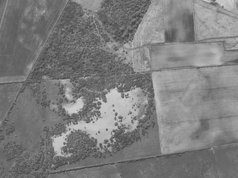 46 Cameo Grove from the air, 1960-1964