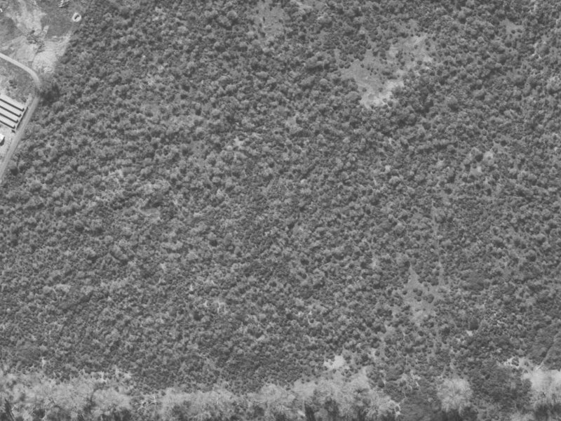 Tamarisk Place from the air, 1960-1964