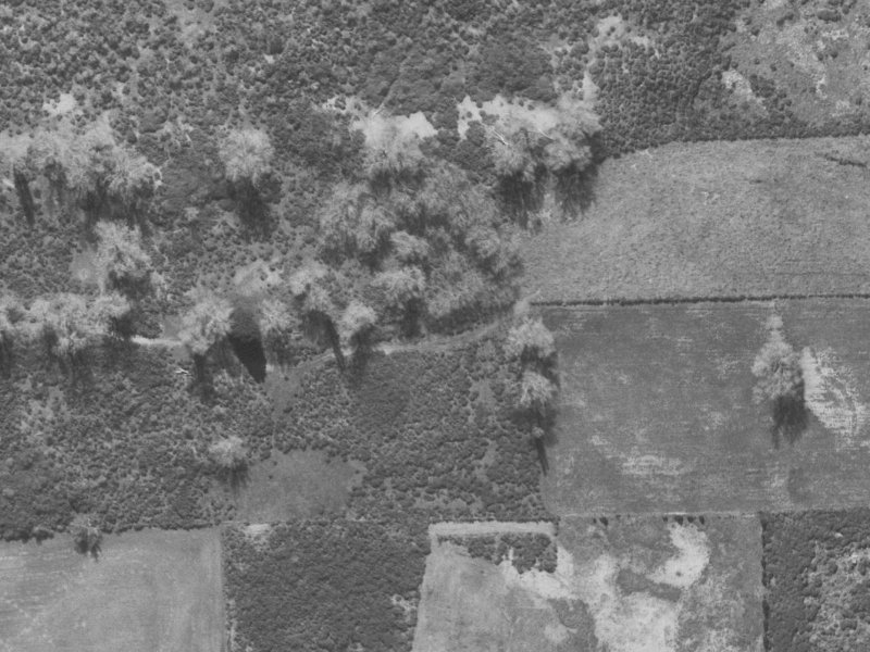 49-53 Queenspark Drive from the air, 1960-1964
