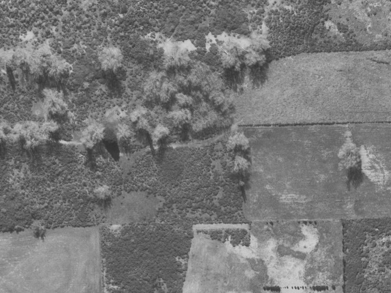 49 Queenspark Drive from the air, 1960-1964