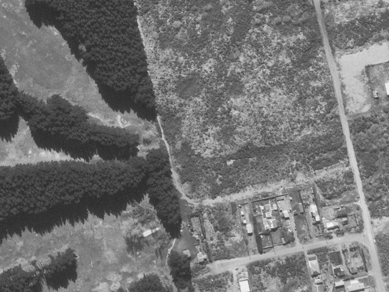 Cordyline Place from the air, 1960-1964
