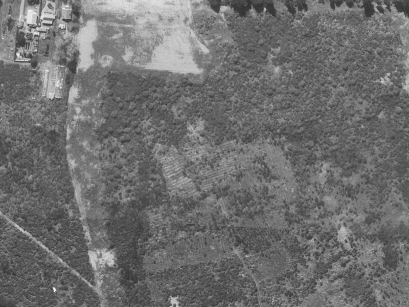51 Royalist Avenue from the air, 1960-1964