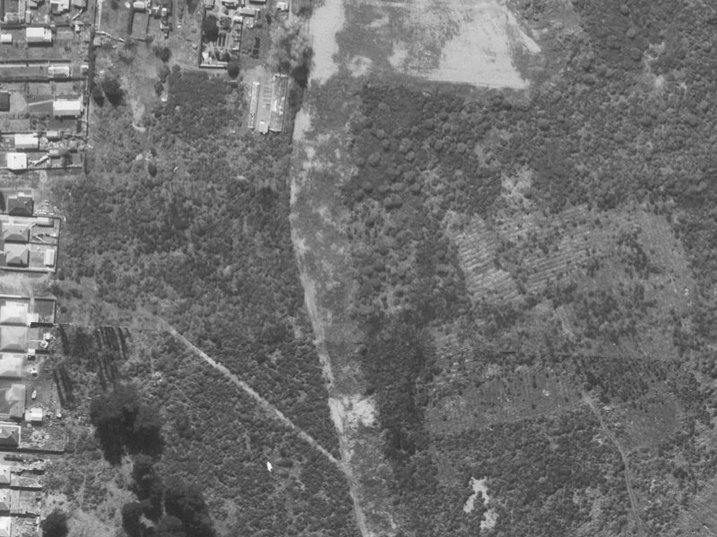 31 Philomel Street from the air, 1960-1964